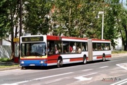 Zu unseren polnischen Nachbarn...gelangte ein Groteil der in den Jahren 2005 - 2008 ausgemusterten MAN NG 272 der VAG Nrnberg. 
So gingen mit den Bussen 619 und 621 auch zwei Exemplare in die Benzinstadt Plock. Hinter dem hier im Zentrum von Plock zu sehenden 
Wagen 673 verbirgt sich der ehemalige VAG Bus 619.