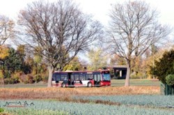 Herbstlich bunt...prsentiert sich aktuell das Knoblauchsland. Einen weiteren Farbtupfer setzt der gerade als Linie 31 in Richtung
Thon fahrende VAG-Bus 931 mit seiner neuen schwarzen Reklame.