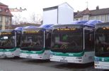 Gruppenbild mit Bus 427, 421, 421 und 429