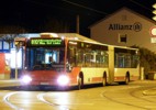 Bus 666 auf Linie 810 in Mgeldorf